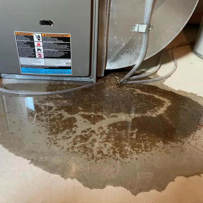 Appliance Leak Cleanup in Jefferson Davis County, MS